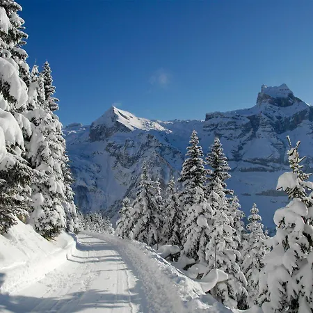 Kempinski Palace Otel Engelberg